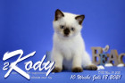 Kody ist 10 Wochen alt ( 18.07.2021 )
