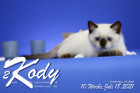 Kody ist 10 Wochen alt ( 18.07.2021 )
