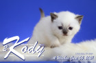 Kody ist 4 Wochen alt ( 05.06.2021 )