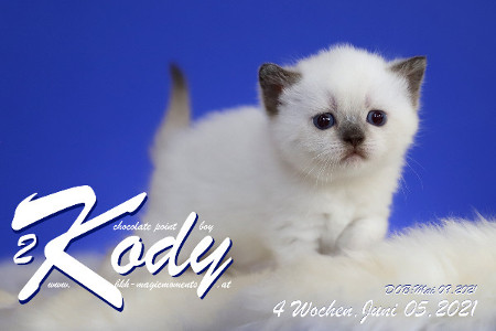 Kody ist 4 Wochen alt ( 05.06.2021 )
