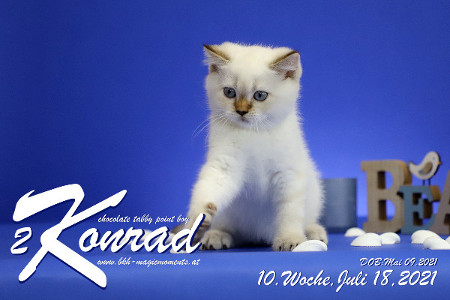 Konrad ist 10 Wochen alt ( 18.07.2021 )