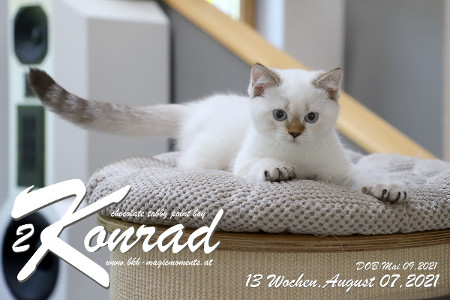 Konrad ist 13 Wochen alt ( 07.08.2021 )