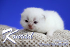 Konrad ist 2 Wochen alt ( 22.05.2021 )