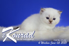 Konrad ist 4 Wochen alt ( 05.06.2021 )