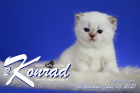 Konrad ist 4 Wochen alt ( 05.06.2021 )