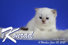Konrad ist 4 Wochen alt ( 05.06.2021 )