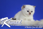 Konrad ist 4 Wochen alt ( 05.06.2021 )