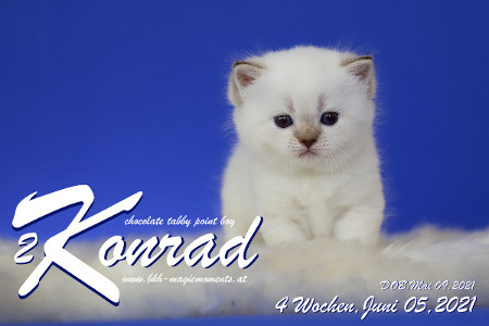 Konrad ist 4 Wochen alt ( 05.06.2021 )
