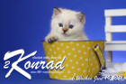 Konrad ist 6 Wochen alt ( 19.06.2021 )