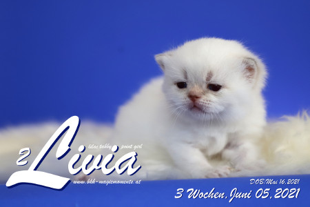 Livia ist 3 Wochen alt ( 05.06.2021 )