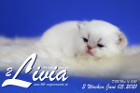 Livia ist 3 Wochen alt ( 05.06.2021 )