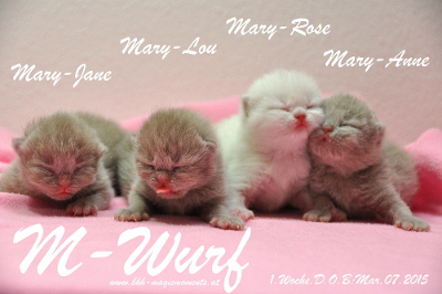 Mary Lou wurde am 07.03.2015 um 18.20 geboren