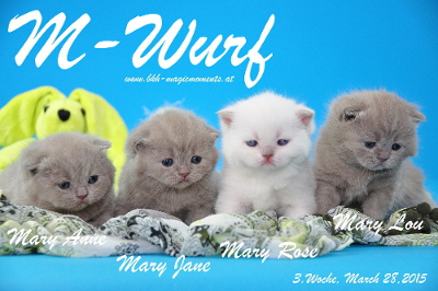 Mary Lou ist 3 Wochen alt geworden (28.03.2015)