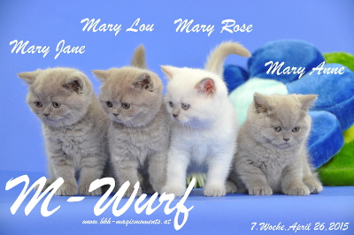 Mary Jane ist 7 Wochen alt geworden (26.04.2015)