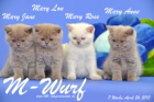 Unser M-Wurf ist 7 Wochen alt geworden ( 26.04.2015 )