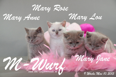 Mary Rose ist 9 Wochen alt geworden (10.05.2015)