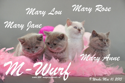 Mary Lou ist 9 Wochen alt geworden (10.05.2015)