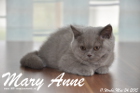 Mary Anne ist 11 Wochen alt geworden (24.05.2015)