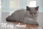 Mary Anne ist 11 Wochen alt geworden (24.05.2015)