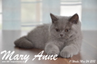 Mary Anne ist 11 Wochen alt geworden (24.05.2015)