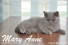 Mary Anne ist 11 Wochen alt geworden (24.05.2015)
