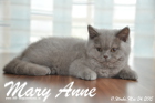 Mary Anne ist 11 Wochen alt geworden (24.05.2015)