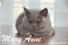 Mary Anne ist 11 Wochen alt geworden (24.05.2015)