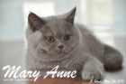 Mary Anne ist 11 Wochen alt geworden (24.05.2015)