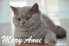 Mary Anne ist 11 Wochen alt geworden (24.05.2015)