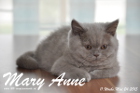 Mary Anne ist 11 Wochen alt geworden (24.05.2015)