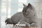 Mary Anne ist 11 Wochen alt geworden (24.05.2015)