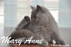 Mary Anne ist 11 Wochen alt geworden (24.05.2015)