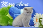 Mary Anne ist 7 Wochen alt geworden (26.04.2015)