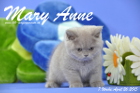 Mary Anne ist 7 Wochen alt geworden (26.04.2015)