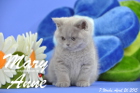 Mary Anne ist 7 Wochen alt geworden (26.04.2015)