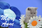 Mary Anne ist 7 Wochen alt geworden (26.04.2015)