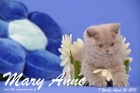 Mary Anne ist 7 Wochen alt geworden (26.04.2015)