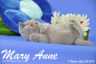Mary Anne ist 7 Wochen alt geworden (26.04.2015)