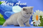 Mary Anne ist 7 Wochen alt geworden (26.04.2015)