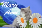 Mary Anne ist 7 Wochen alt geworden (26.04.2015)
