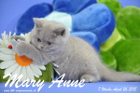 Mary Anne ist 7 Wochen alt geworden (26.04.2015)