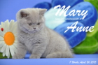 Mary Anne ist 7 Wochen alt geworden (26.04.2015)