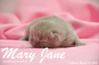 Mary Jane ist 1 Woche alt geworden (13.03.2015)