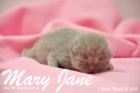 Mary Jane ist 1 Woche alt geworden (13.03.2015)