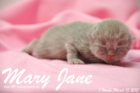 Mary Jane ist 1 Woche alt geworden (13.03.2015)