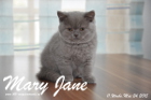 Mary Jane ist 11 Wochen alt geworden (24.05.2015)