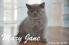 Mary Jane ist 11 Wochen alt geworden (24.05.2015)