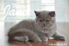 Mary Jane ist 11 Wochen alt geworden (24.05.2015)