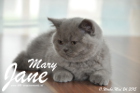 Mary Jane ist 11 Wochen alt geworden (24.05.2015)