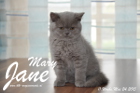 Mary Jane ist 11 Wochen alt geworden (24.05.2015)